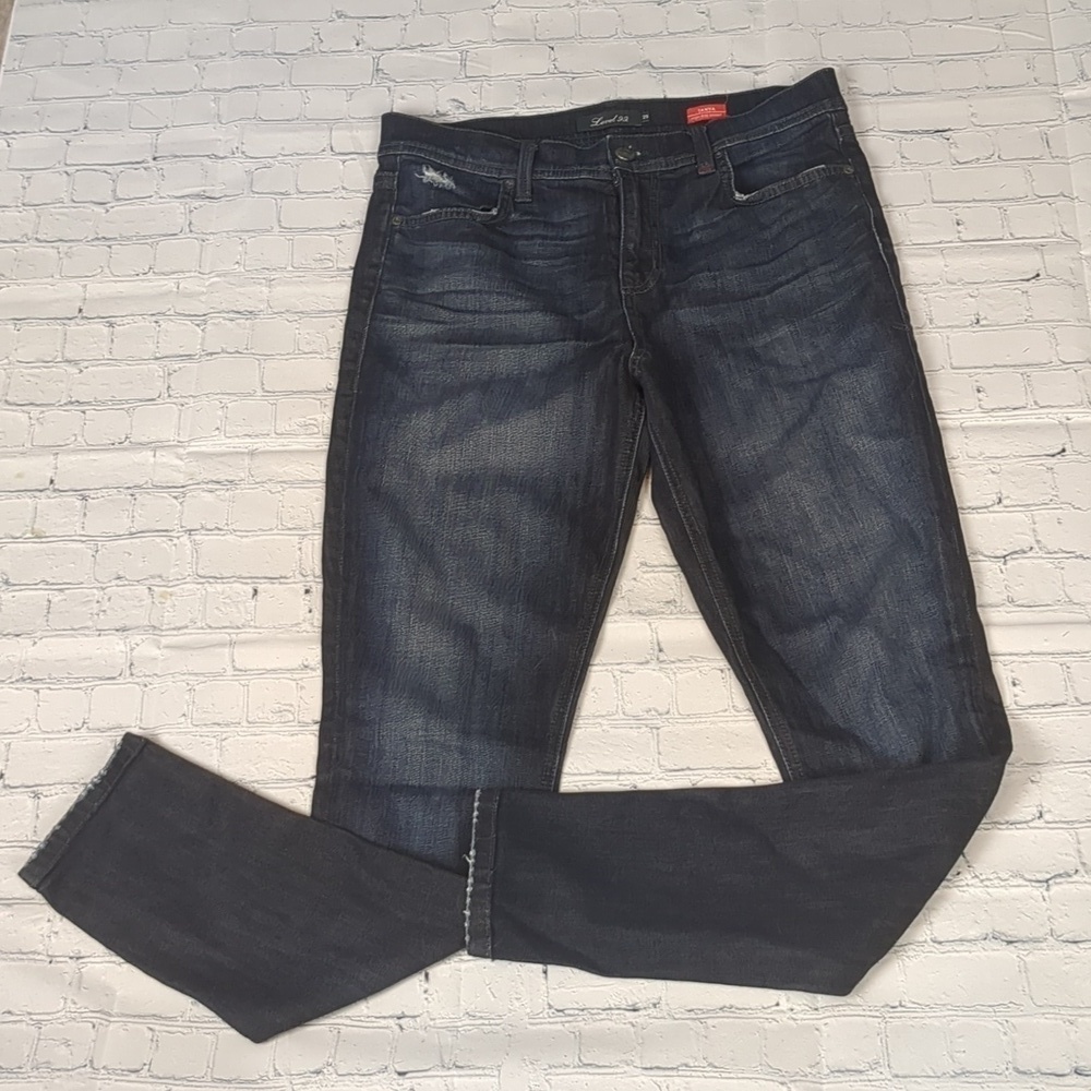 Level 99 distressed Tanya high rise skinny jeans size 29